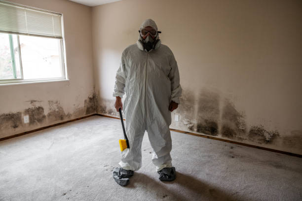 Mold Remediation for Rental Properties in Oracle, AZ